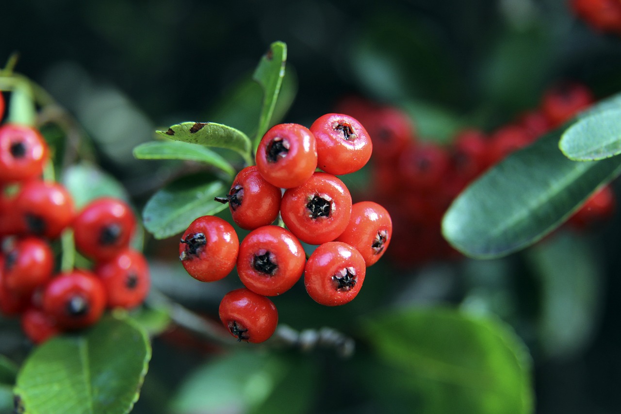 场调度到替 场调度到替