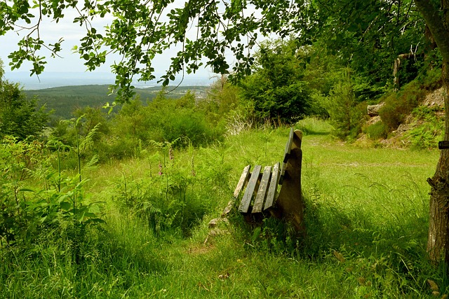 逆龄表现 逆龄表现