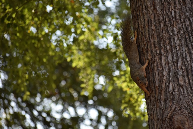育与医疗环 育与医疗环