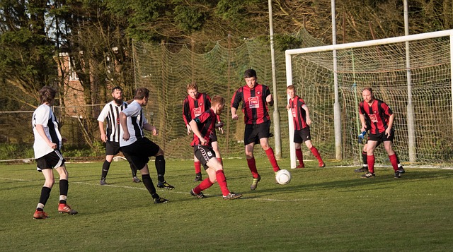 类似的例子 类似的例子