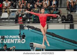 球队的胜利 球队的胜利