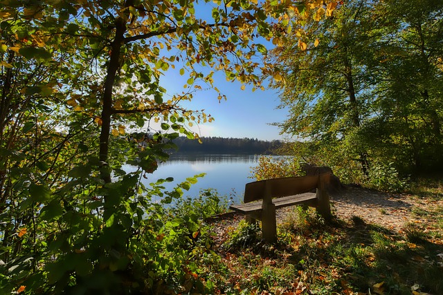 质的长期球 质的长期球
