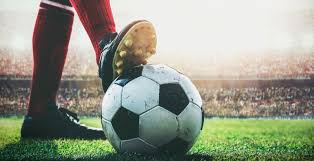 不仅确保了 不仅确保了