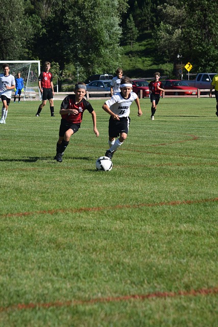 多位老将 多位老将