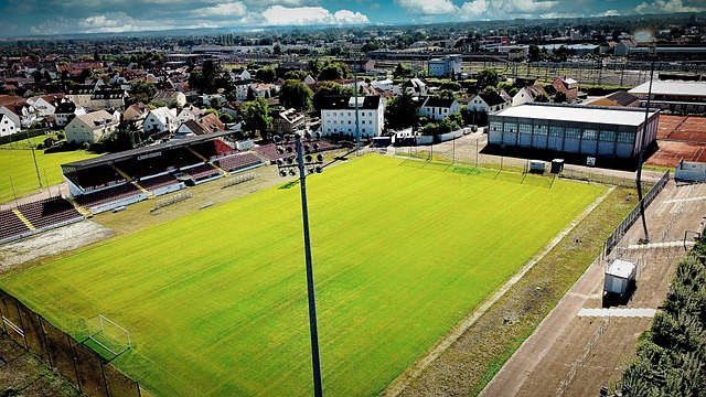 转会谈判 转会谈判