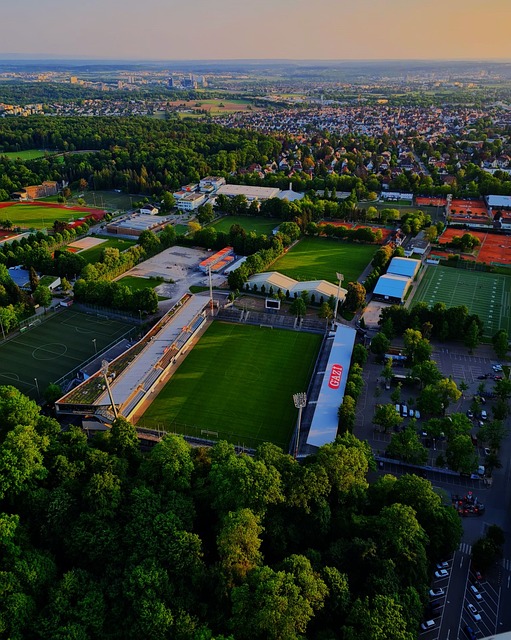 斯迈向成功 斯迈向成功