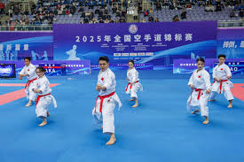 冰壶运动中 冰壶运动中